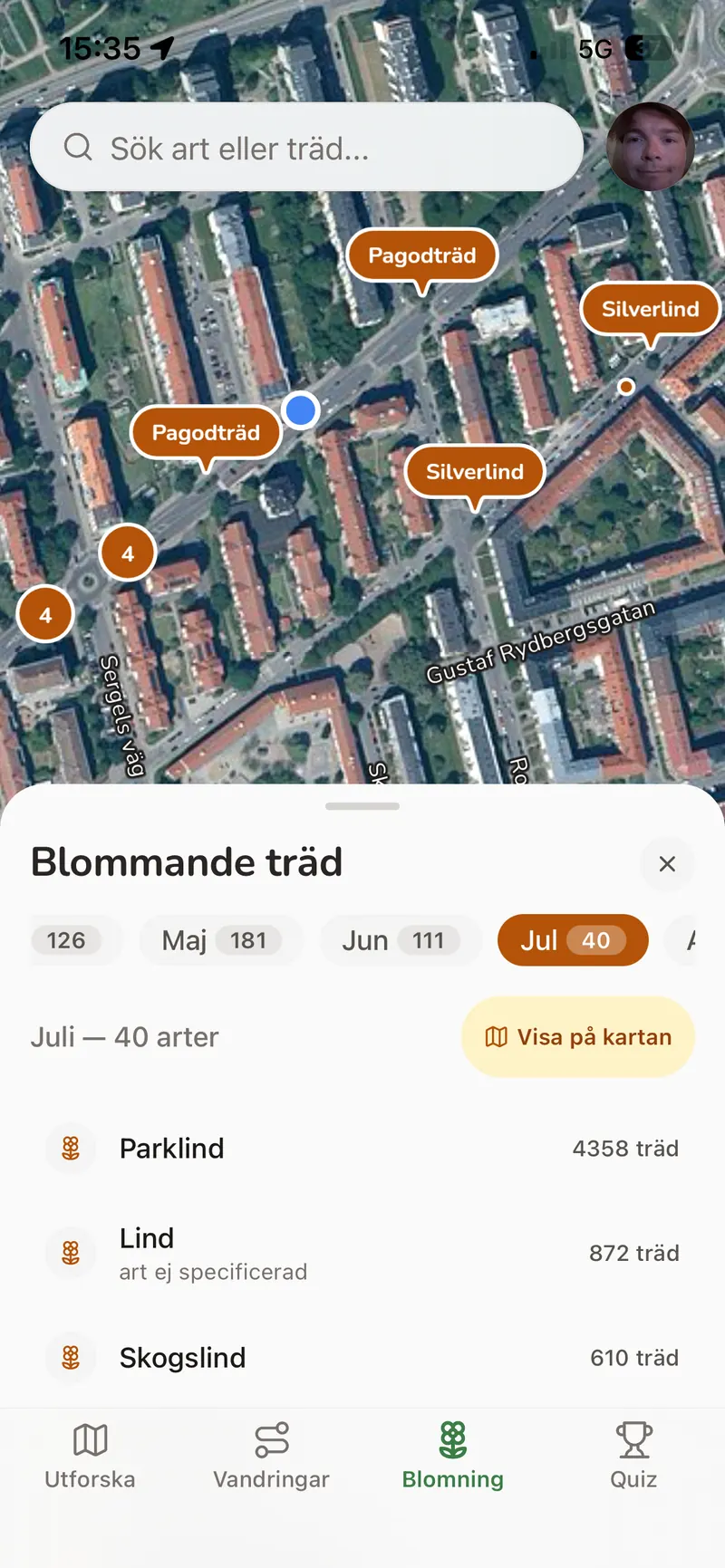 Blommande träd i juli: listan med arter och träden som blommar på kartan.